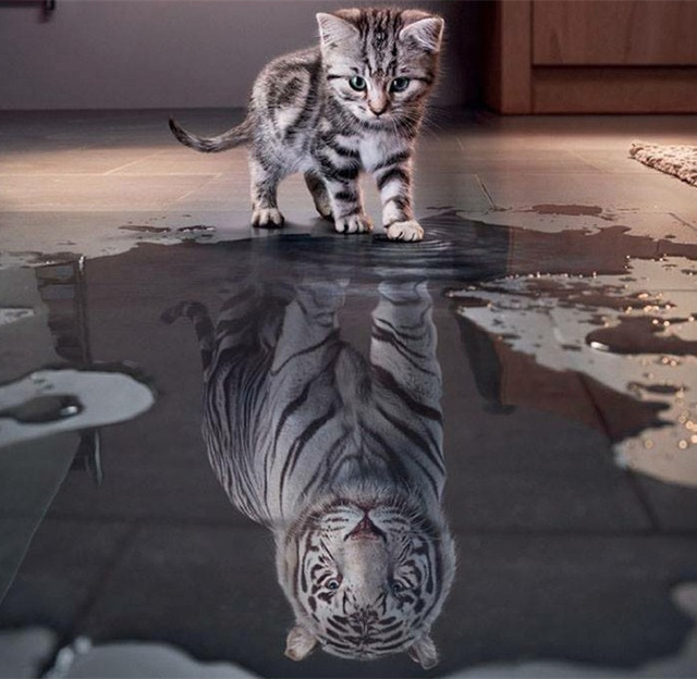 El Perfil Concepto-Self