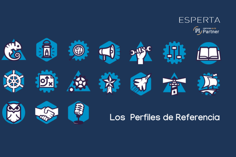 Perfiles de referencia (6)