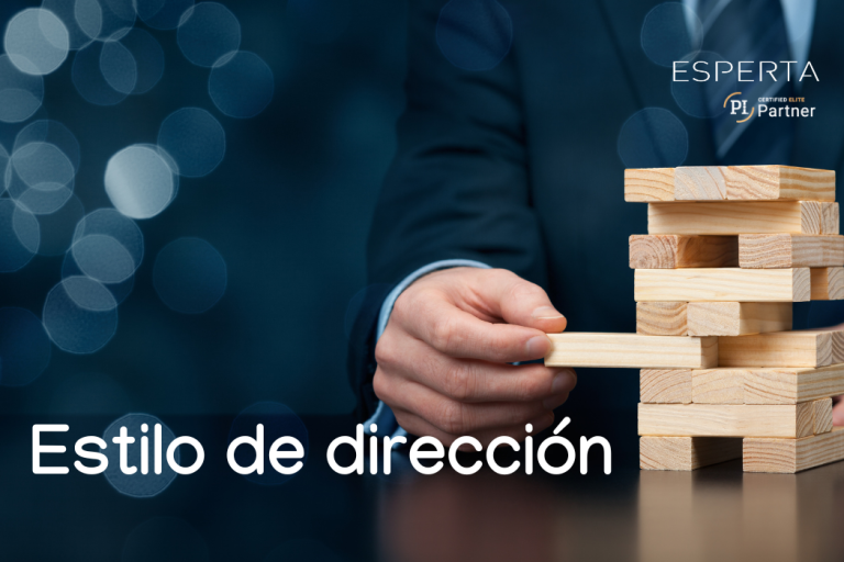 Estilo de dirección (1)